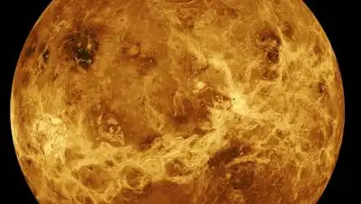 Pixabay, фото - Новости Zakon.kz от 15.09.2020 08:53