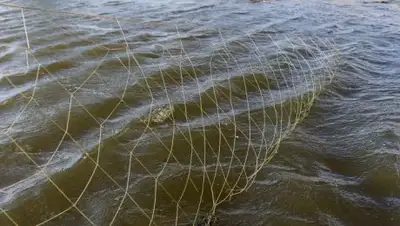 Zakon.kz, фото - Новости Zakon.kz от 09.03.2018 22:07