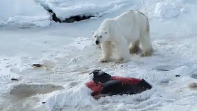 Zakon.kz, фото - Новости Zakon.kz от 11.06.2015 17:46