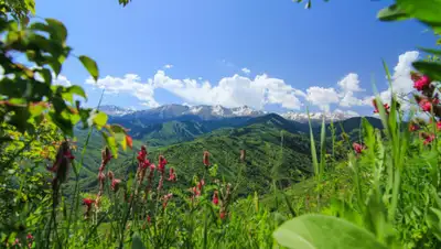 сезоны-года, фото - Новости Zakon.kz от 11.06.2020 06:04