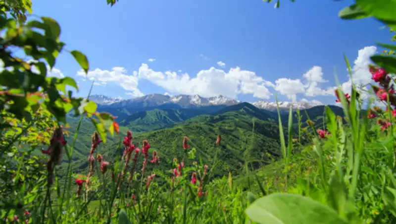 11 июня казахстанцев ожидает теплая погода без осадков