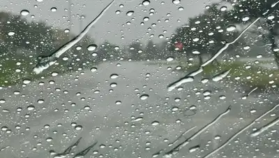 365info, фото - Новости Zakon.kz от 08.04.2020 06:17