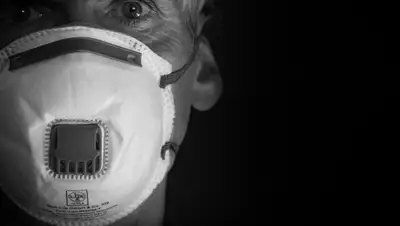 Pixabay, фото - Новости Zakon.kz от 12.06.2020 19:11