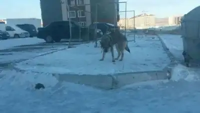 Фото: соцсети, фото - Новости Zakon.kz от 19.01.2018 20:32