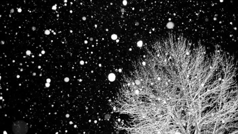 Осадки по всему Казахстану ожидаются в понедельник