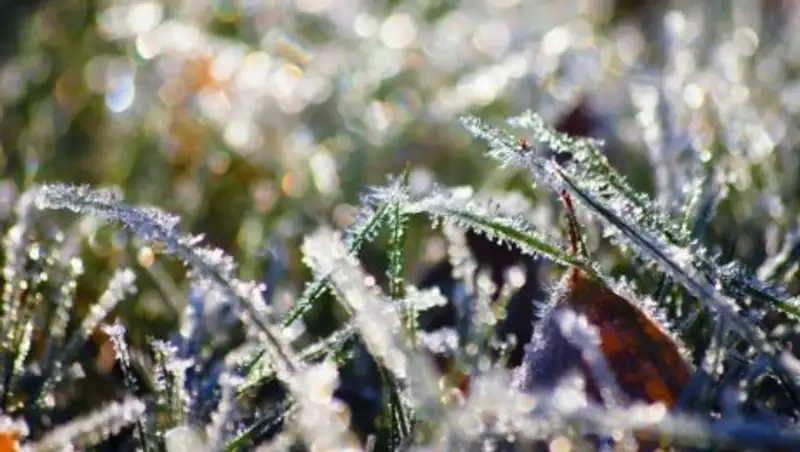 Какая погода ждет казахстанцев в ближайшие дни