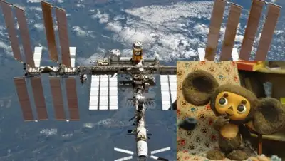 Zakon.kz, фото - Новости Zakon.kz от 07.07.2016 20:49