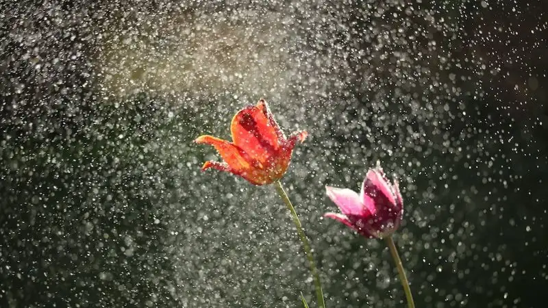 Резкое похолодание и сильные дожди ожидаются в Казахстане