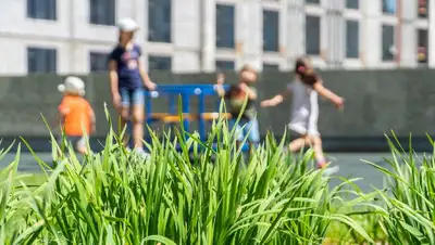 Год детей, празднование, затраты, депутат, фото - Новости Zakon.kz от 04.05.2022 15:00