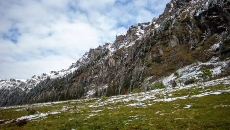 Дождь с переходом в снег. Прогноз погоды на 5 июня