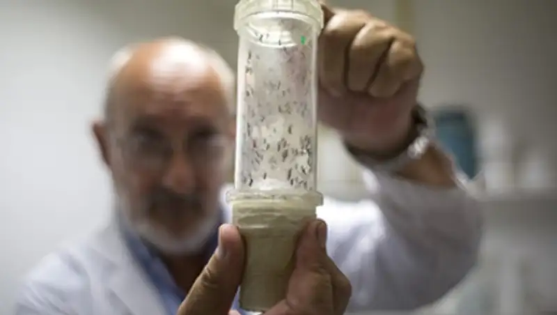 Сборную Южной Кореи защитят от вируса Зика на ОИ с помощью формы