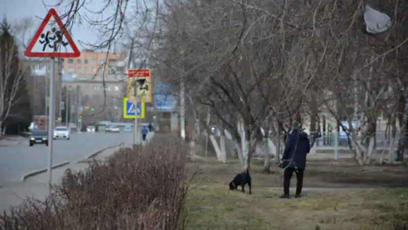 На 27 тысяч тенге осуждена женщина, выбросившая собаку из окна