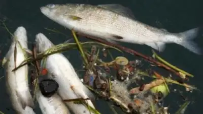 Zakon.kz, фото - Новости Zakon.kz от 04.07.2015 13:32