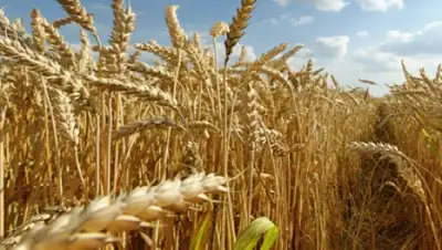 Zakon.kz, фото - Новости Zakon.kz от 19.02.2016 21:24