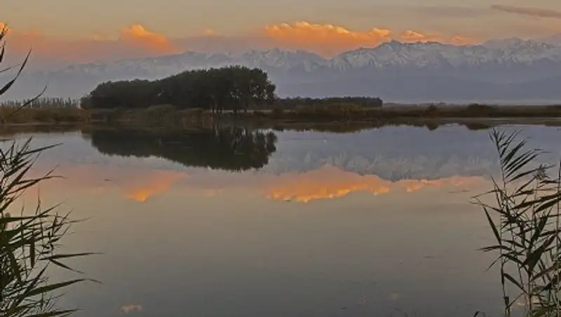 В Алматинской области отыскали тело егеря, который пропал при странных обстоятельствах