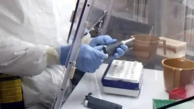 mir24.tv, фото - Новости Zakon.kz от 20.01.2020 17:08