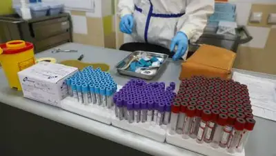 spbdnevnik.ru, фото - Новости Zakon.kz от 08.11.2020 08:01