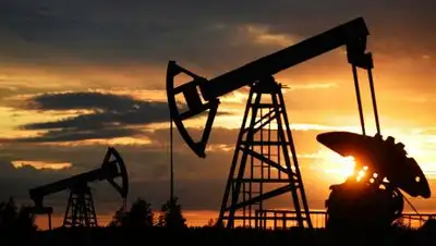 © РИА Новости / Максим Богодвид, фото - Новости Zakon.kz от 24.02.2021 23:42