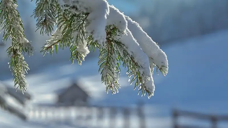 Какой будет погода в трех мегаполисах Казахстана 22-24 января