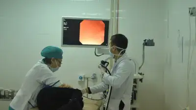 пресс-служба, фото - Новости Zakon.kz от 20.11.2019 16:58