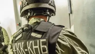 platon.asia, фото - Новости Zakon.kz от 20.12.2019 10:02