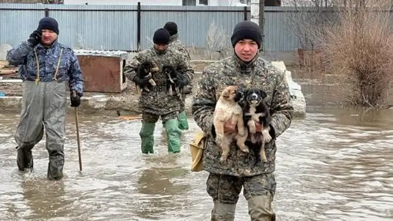 паводки, фото - Новости Zakon.kz от 30.03.2023 21:18