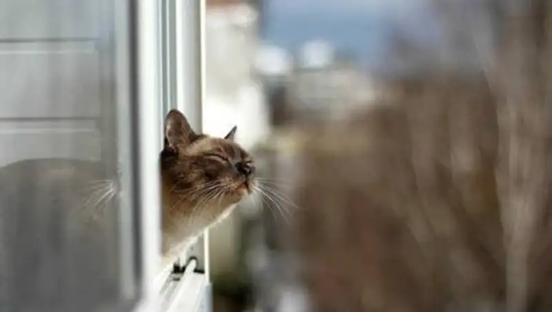 Теплые выходные ожидают казахстанцев