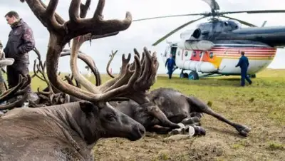 Zakon.kz, фото - Новости Zakon.kz от 21.08.2016 18:15
