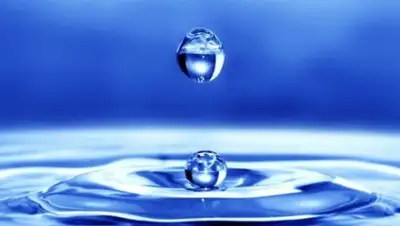 Фото: Hi-News.ru, фото - Новости Zakon.kz от 21.12.2017 12:12