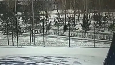 В Астане избили и ограбили прохожего, фото - Новости Zakon.kz от 12.11.2022 11:42