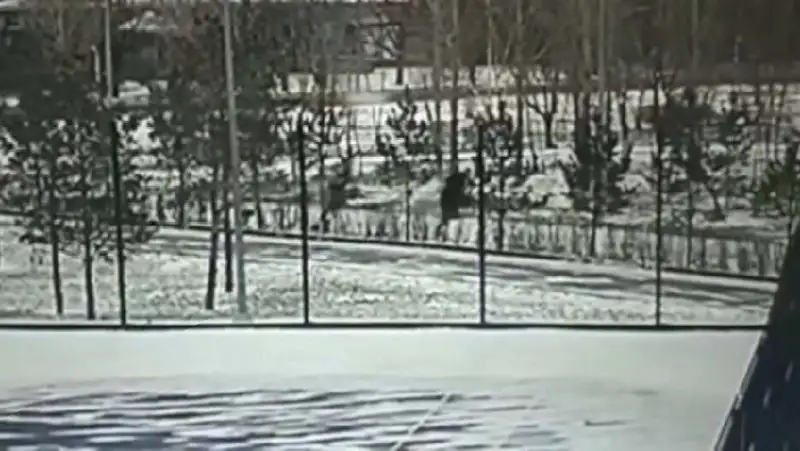 В Астане двое парней избили и ограбили прохожего