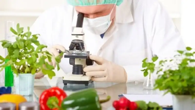 Реализация импортных продуктов негативно отражается на отечественном сельхозпроизводстве