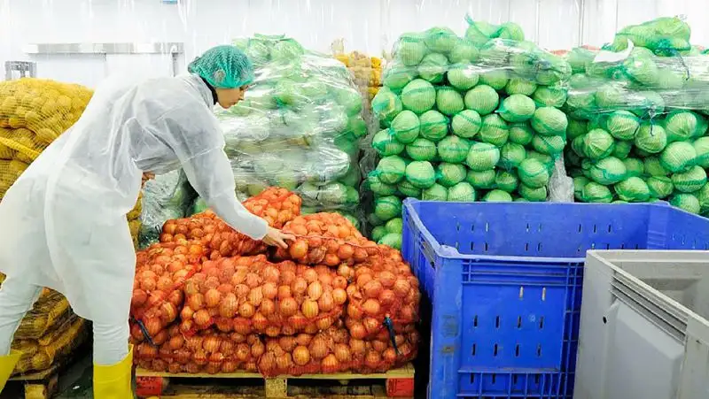 Лук репчатый больше других продуктов подорожал за год – почти на 72%