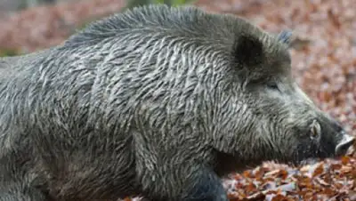 Zakon.kz, фото - Новости Zakon.kz от 04.12.2014 15:56