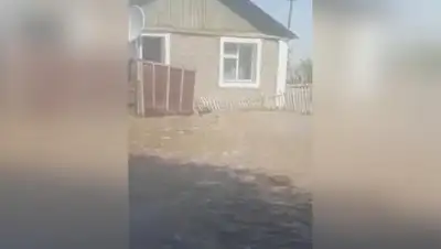 inform.kz, фото - Новости Zakon.kz от 31.05.2018 01:21