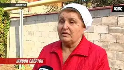 Zakon.kz, фото - Новости Zakon.kz от 07.10.2017 13:16