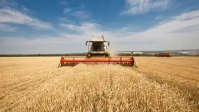 Zakon.kz, фото - Новости Zakon.kz от 22.10.2014 01:53