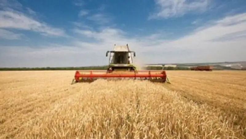 В Костанайской области хлебоуборочная техника простаивает из-за морозов