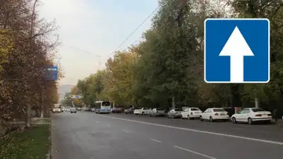 из открытых источников, фото - Новости Zakon.kz от 30.07.2018 12:12