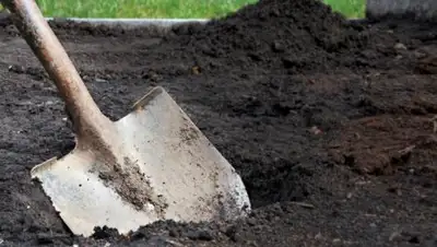 lansky.com, фото - Новости Zakon.kz от 03.05.2018 15:39