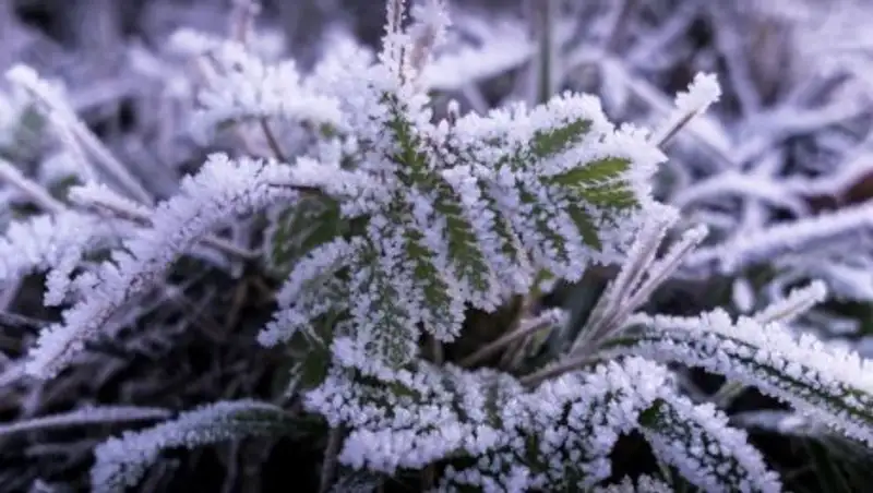 В Казахстане в среду возможны осадки, на юге - сильные