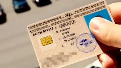 Patrul.kz, фото - Новости Zakon.kz от 16.07.2018 12:38