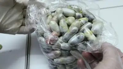 Sputnik/ Руслан Кривобок, фото - Новости Zakon.kz от 05.02.2018 17:43