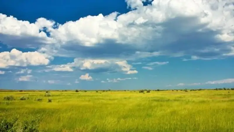 Назарбаев подписал закон, приостанавливающий действия отдельных норм Земельного кодекса