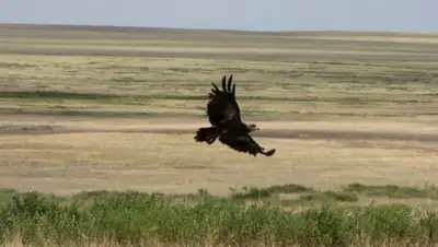 Zakon.kz, фото - Новости Zakon.kz от 07.06.2015 22:25