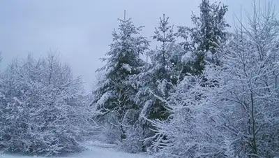 Zakon.kz, фото - Новости Zakon.kz от 07.01.2014 15:17