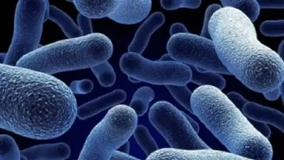 Zakon.kz, фото - Новости Zakon.kz от 14.07.2015 21:38