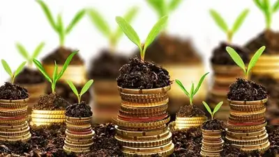 desimarket.com.au, фото - Новости Zakon.kz от 28.05.2018 11:45