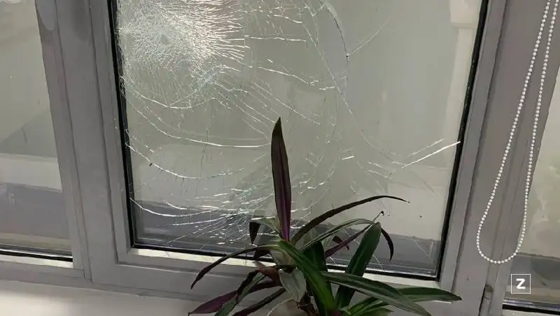 разбитое стекло, цветок , фото - Новости Zakon.kz от 12.01.2022 09:00