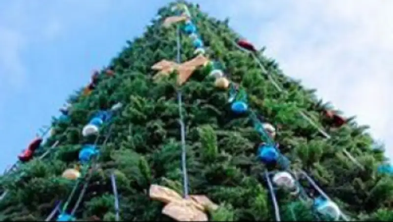 В Кызылординской области подготовка к Новому году начнется после Дня Независимости